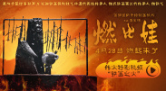 电影《莫陌2》在线观看免费